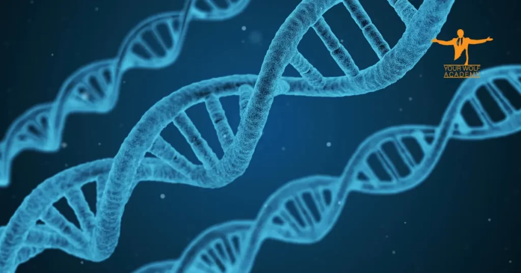 Divergencia en Biología imagw