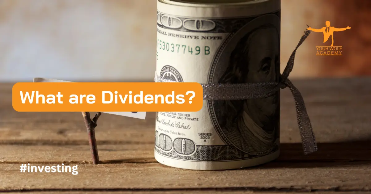 Comprendere i dividendi: una guida completa per gli investitori