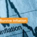 How to Survive Inflation image