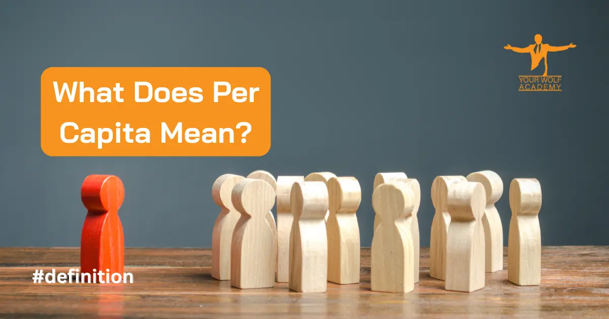 What Does Per Capita Mean?