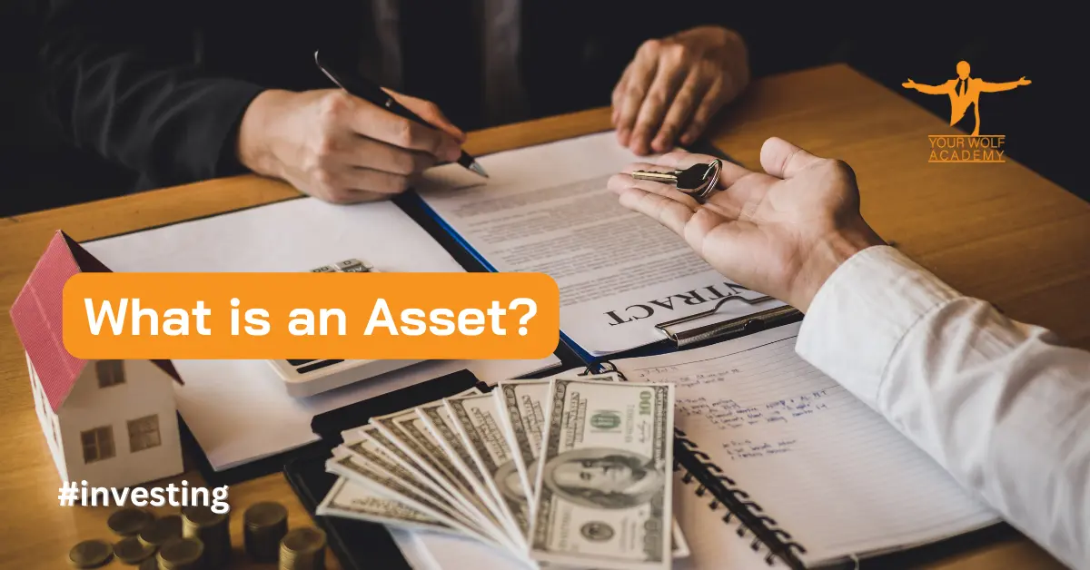What is an Asset? Guide for Beginners
