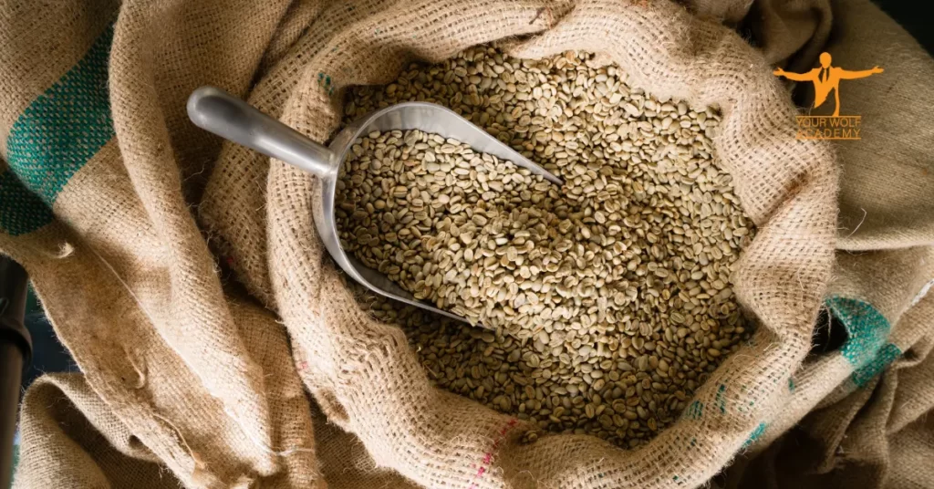 Soft Commodities grain image