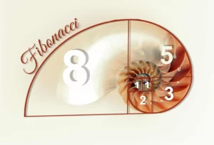 Fibonacci pattern in a sea shell